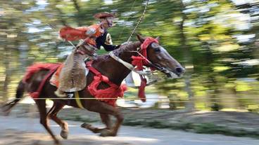 マウンテン ビュー / 23