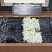 天然温泉 天北の湯 ドーミーイン稚内（北海道 ビジネスホテル） / 3