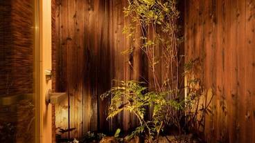 部屋からの景観 / 10