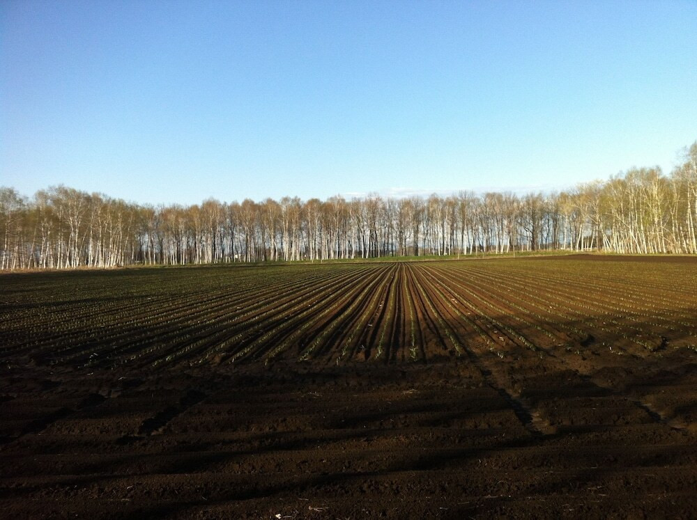 施設からの眺望