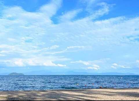 miho826ohimさんの写真 / 1