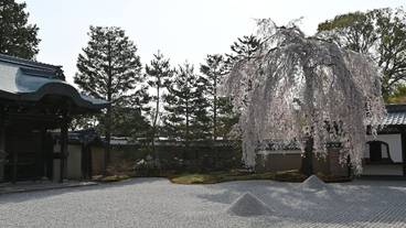 観光スポット / 17