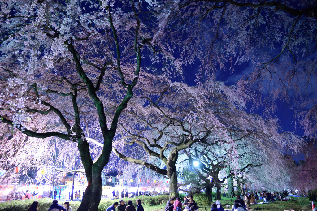 3.榴岡公園1559193