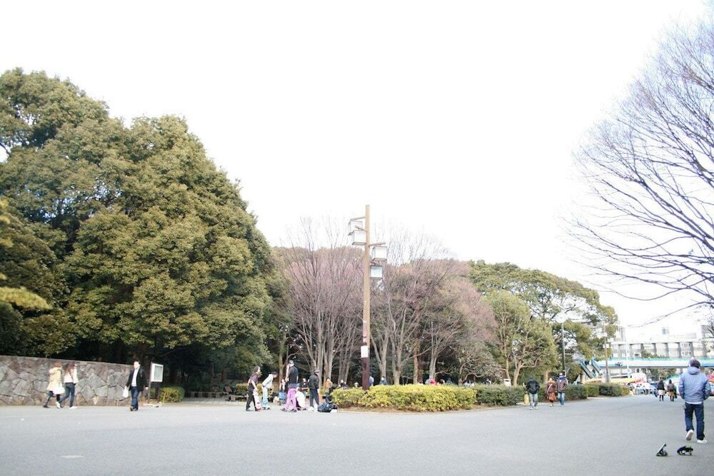 観光スポット