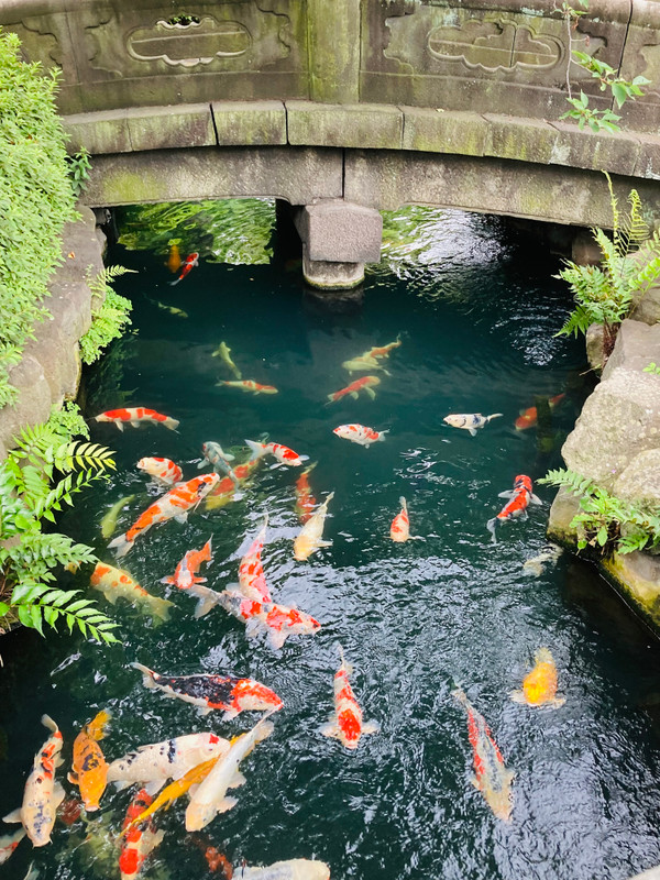 ai__n__23さんの写真 / 1