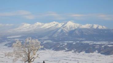 スノー スポーツとスキー / 5