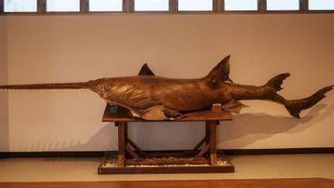 施設内の設備 / 12