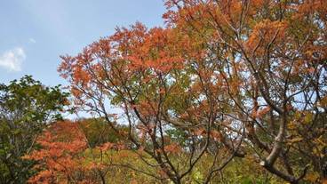 施設の敷地 / 22