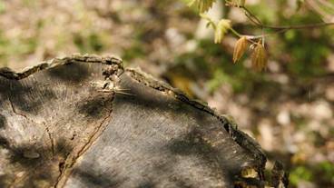 宿泊施設の地図 / 11