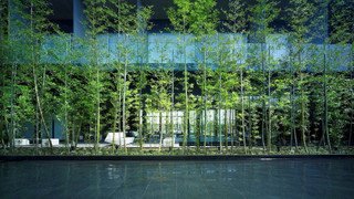 スタンダード ツインルーム