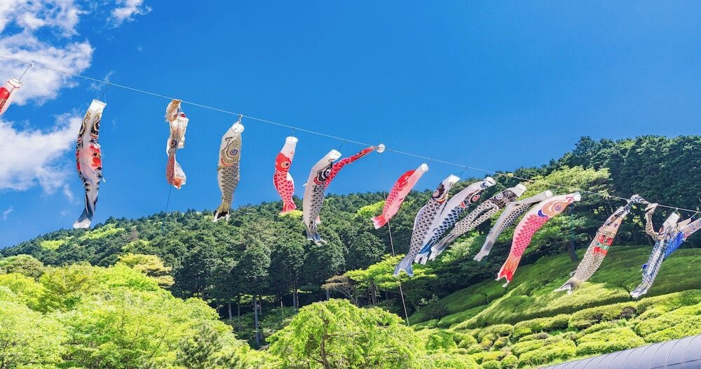 ランド ビュー