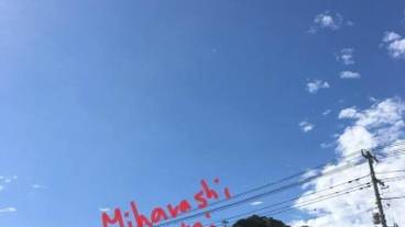 その他 / 6