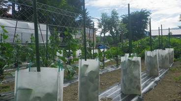 施設の敷地 / 14