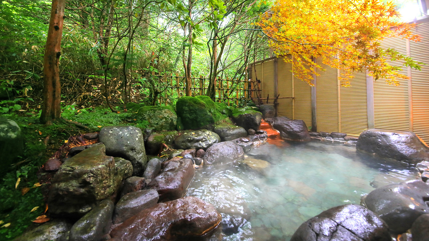 山峡の名湯「カルルス温泉」を堪能できるお得な旅館4027057