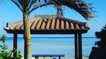 バーベキュー / ピクニック エリア / 14