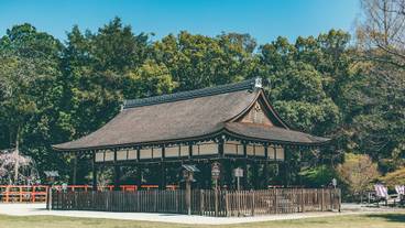 シティ ビュー / 23