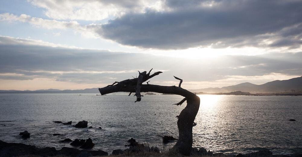 施設からの眺望