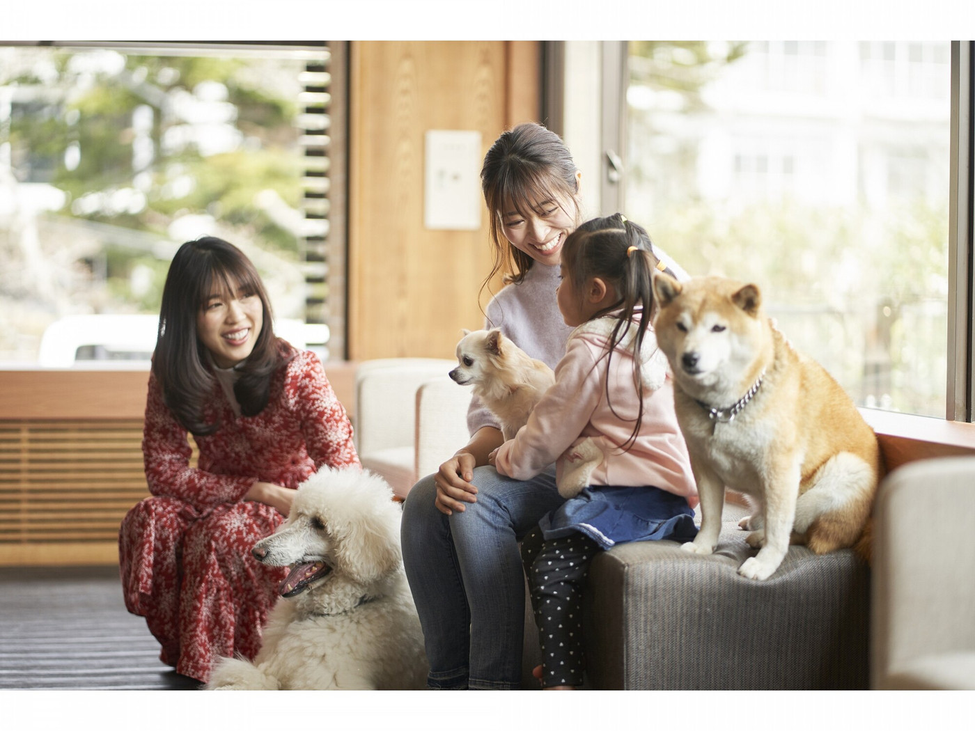 全12室！一緒のお布団で愛犬とのんびりタイム3927937