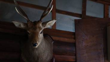 内部エントランス / 7