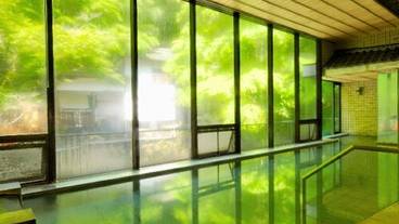 湯河原温泉 青巒荘（せいらんそう）（ユガワラオンセン　セイランソウ） / 1