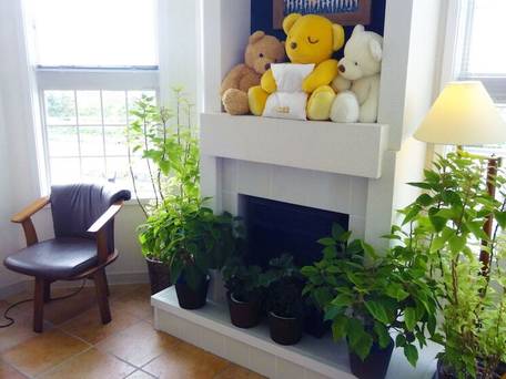 ファミリーロッジ旅籠屋・千葉勝浦店 / 3