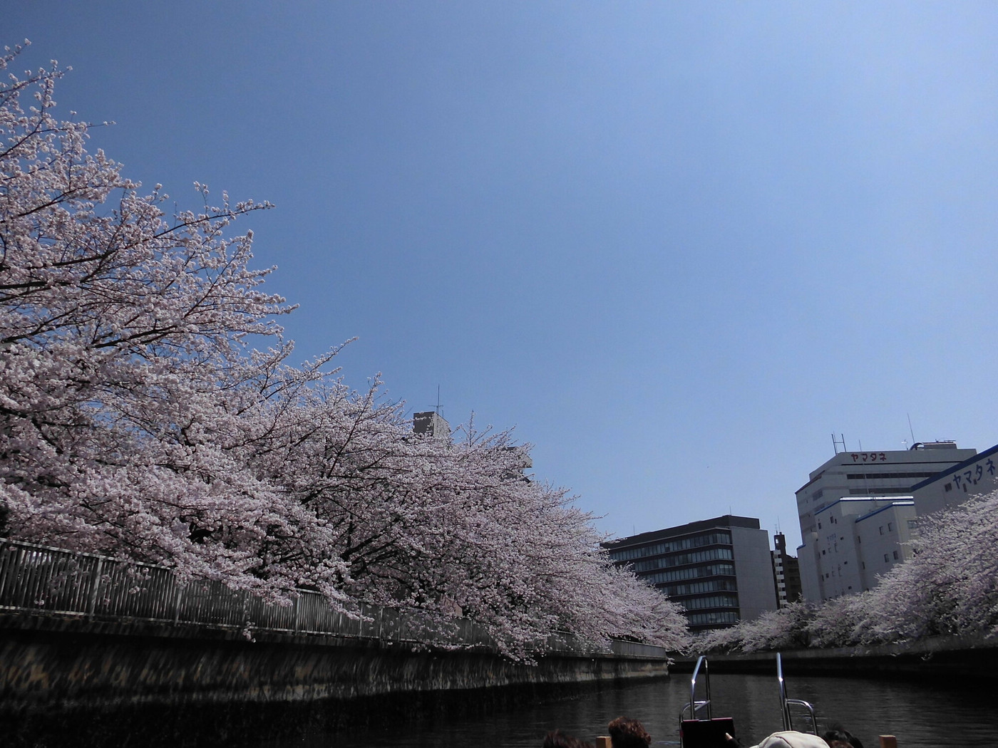 3. 大横川(門前仲町)1558824