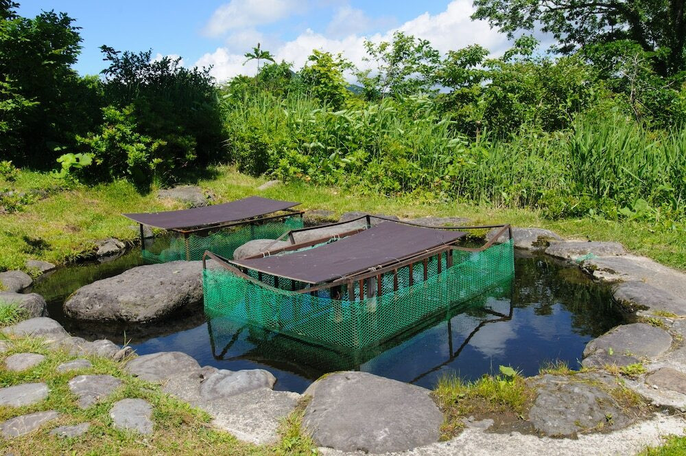 施設からの眺望