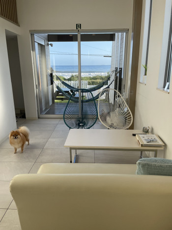 愛犬とのびのび過ごせる♪海の近くでワイワイBBQ4240883