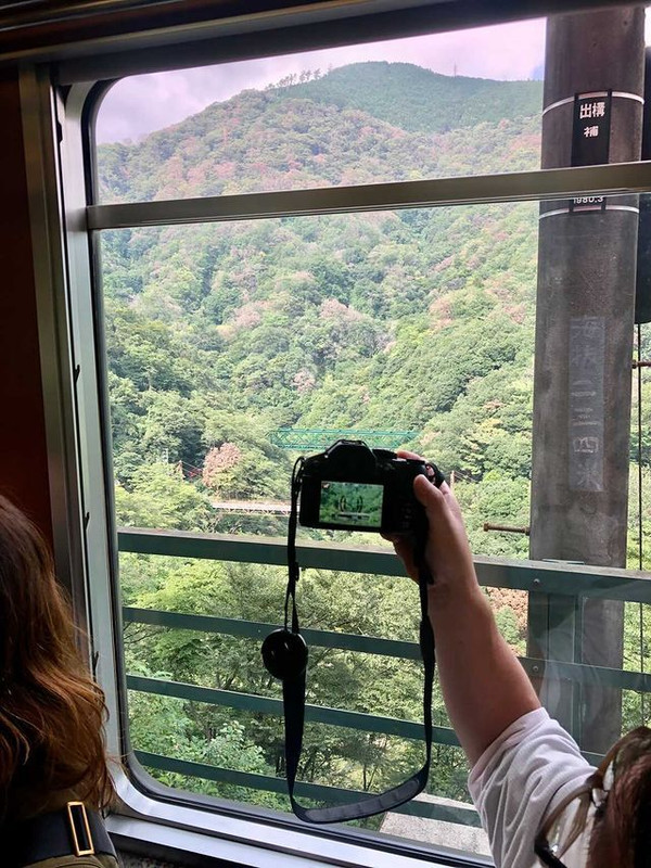 meesan622さんの写真 / 1