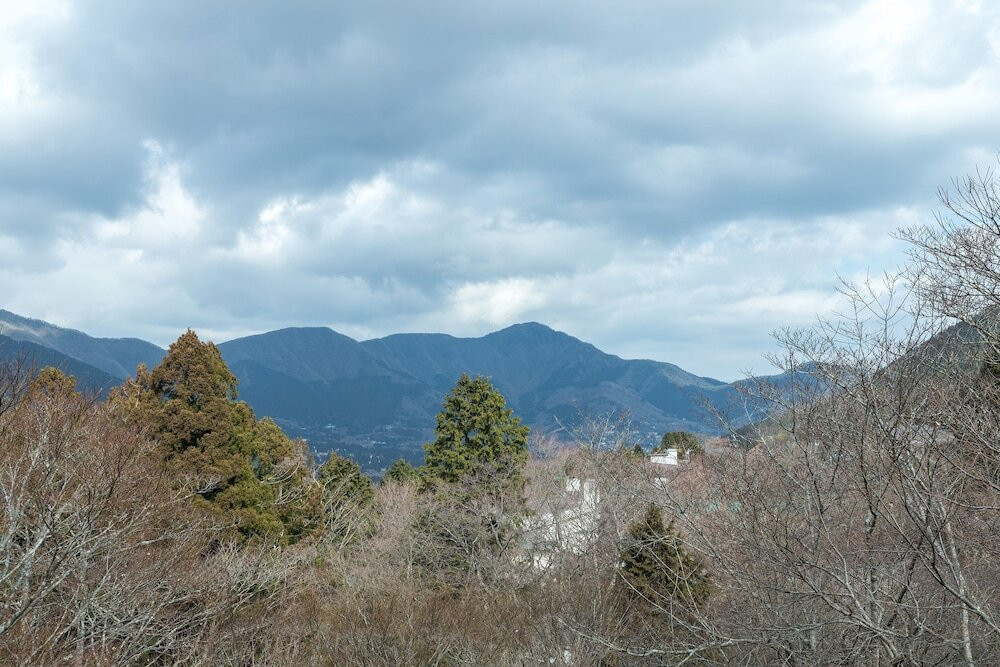 マウンテン ビュー