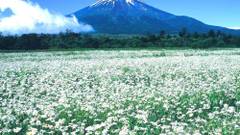 スポーツイン青山通り