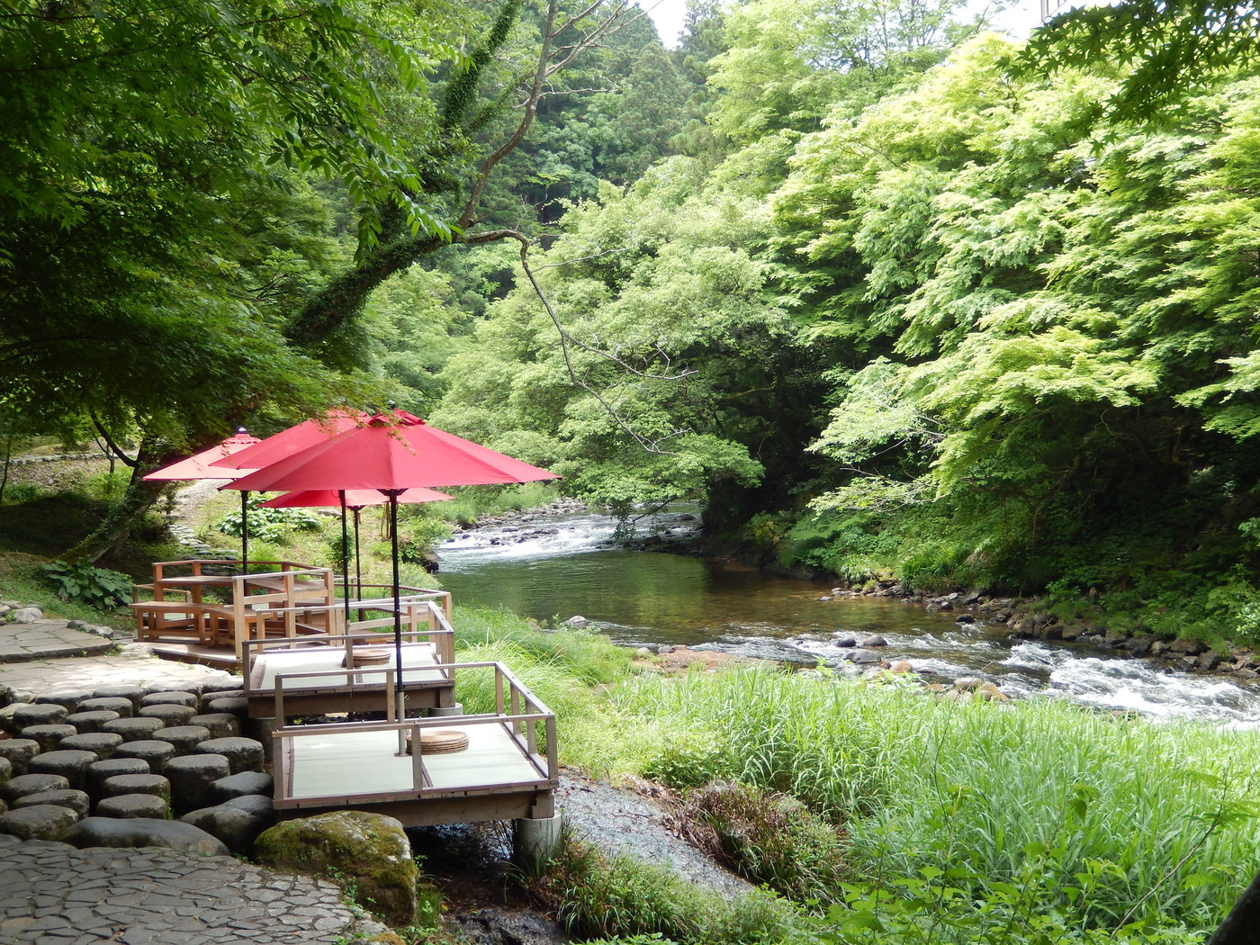 深い森の中の清流を眺める川床｜石川県加賀市山中温泉鶴仙渓