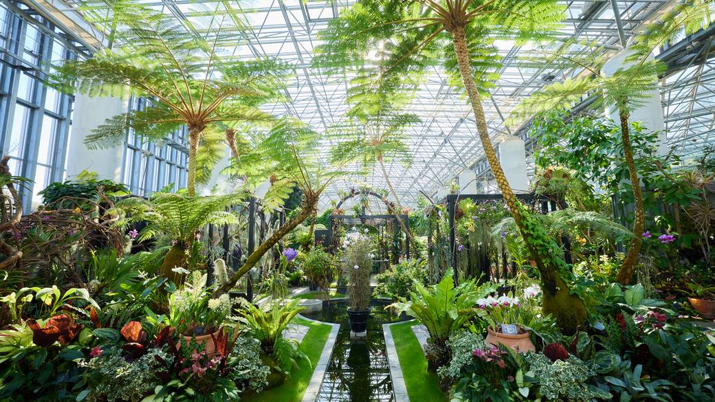 淡路夢舞台のあわじグリーン館 / 3