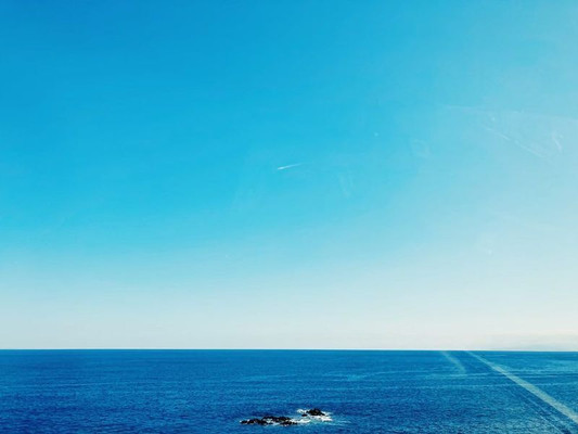 y.tomo_miさんの写真 / 3