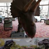 ホテル ブランヴェール那須（栃木県 リゾートホテル） / 3