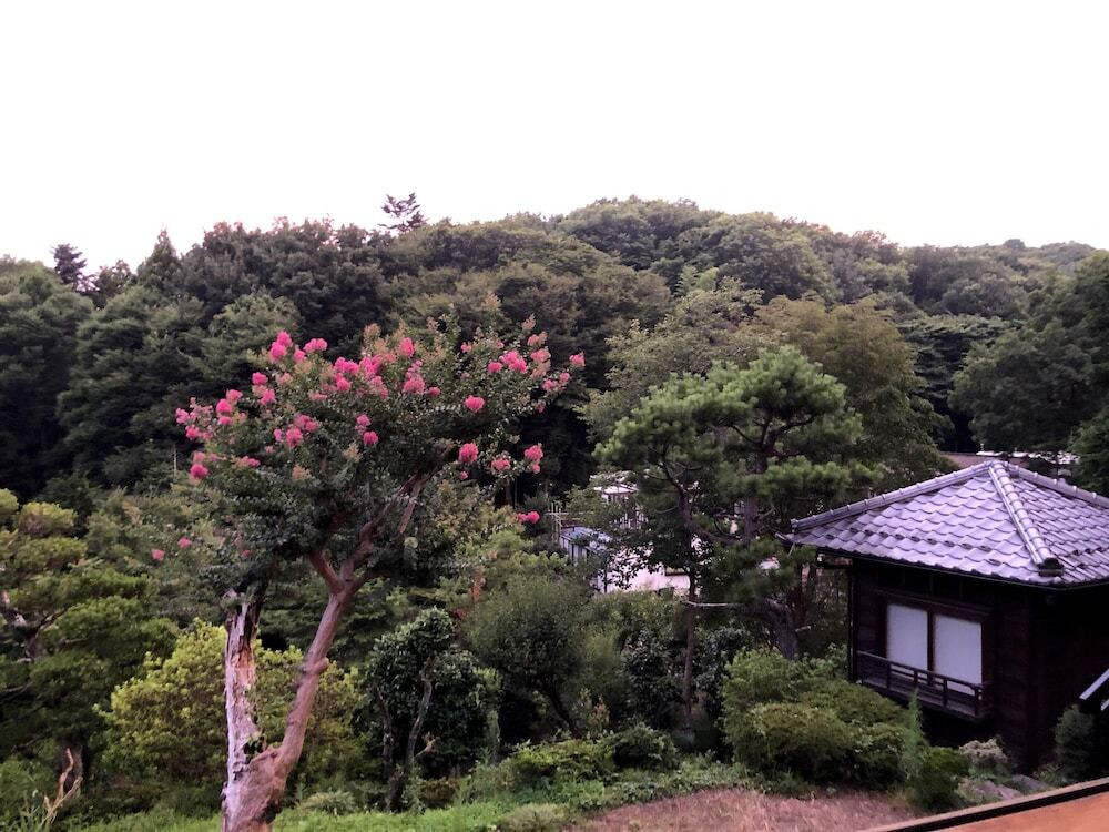 施設からの眺望