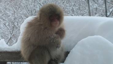 施設の敷地 / 40