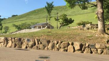 施設の敷地 / 29