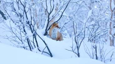 施設からの眺望 / 27