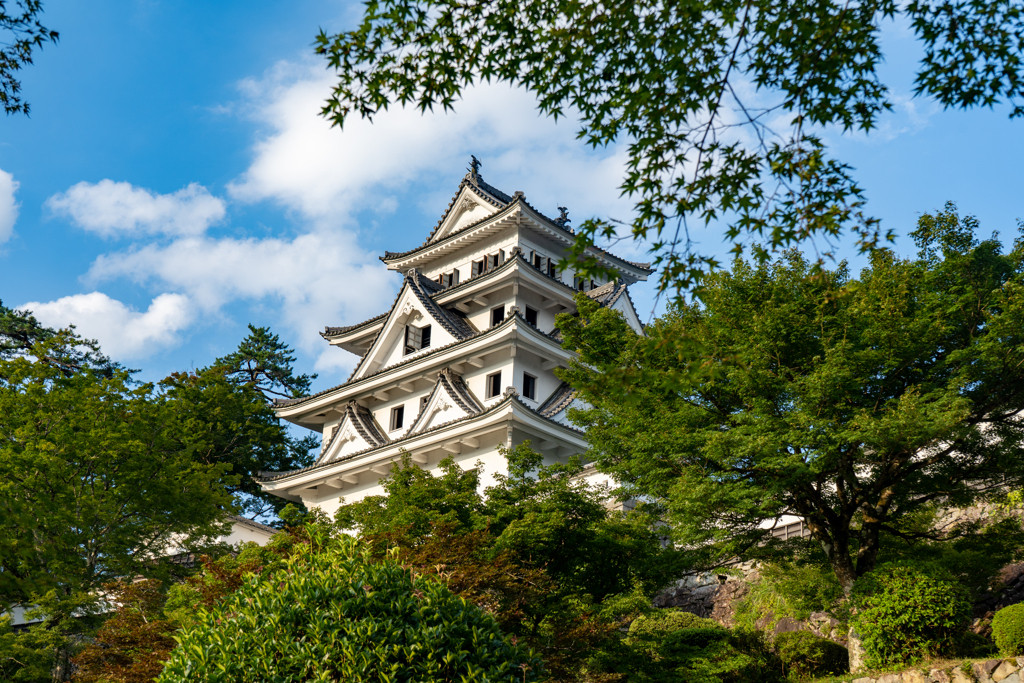 名水と山々に囲まれた城下町「郡上八幡(ぐじょうはちまん)」3938793