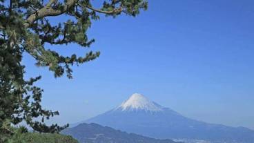 観光スポット / 6