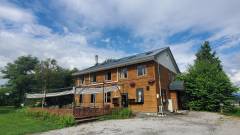 コスモス ファーム