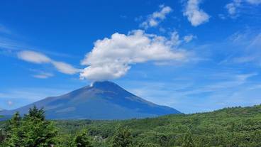 ランド ビュー / 22