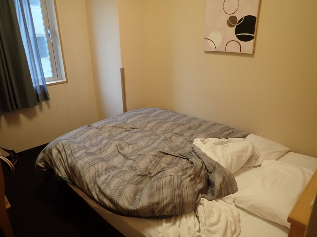 寝るのに十分な広さの客室