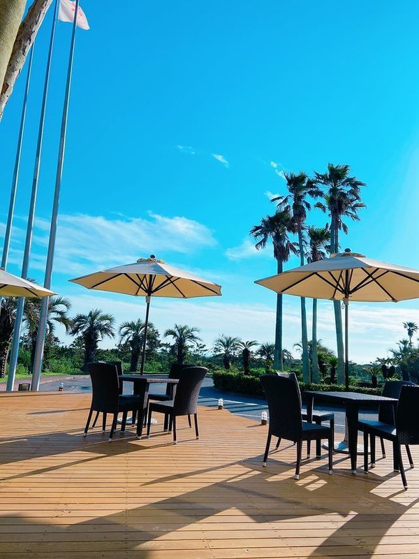 素敵な景色を見ながらウェルカムドリンクを頂きました！