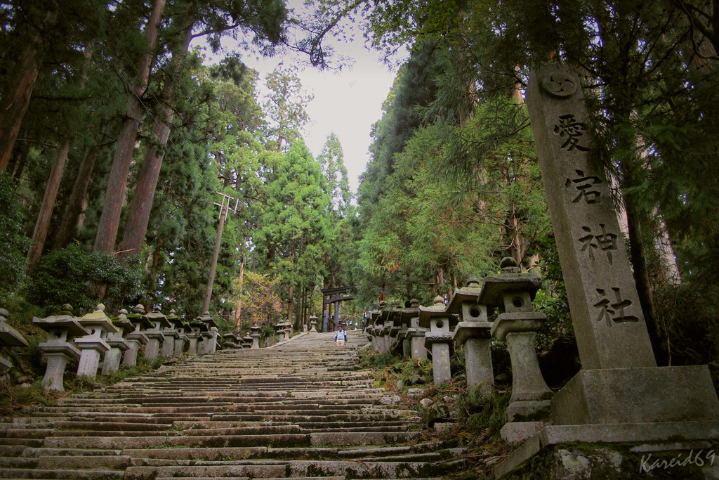 ハイキング：愛宕（あたご）山3554394