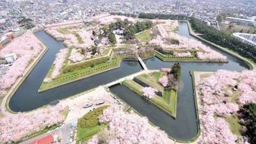 観光スポット / 1