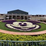 東京ディズニーランドで
誕生日を思いっきり満喫 / 1