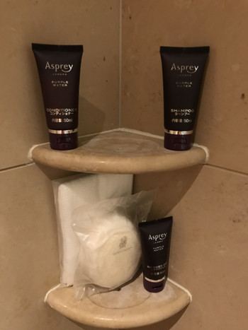 六本木ミッドタウン内でアクセス抜群！飲食施設が充実の高級ホテル4269187