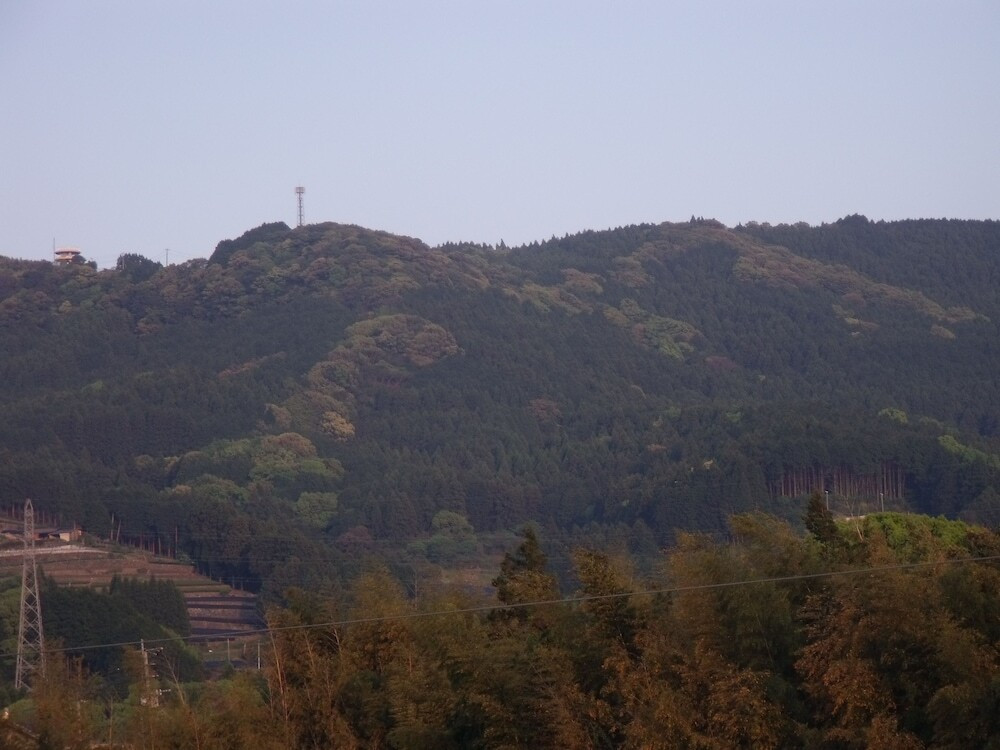 マウンテン ビュー